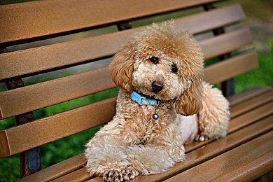 第一人称剧情冒险游戏《曾经活着》现已在Steam正式推出 获得好评